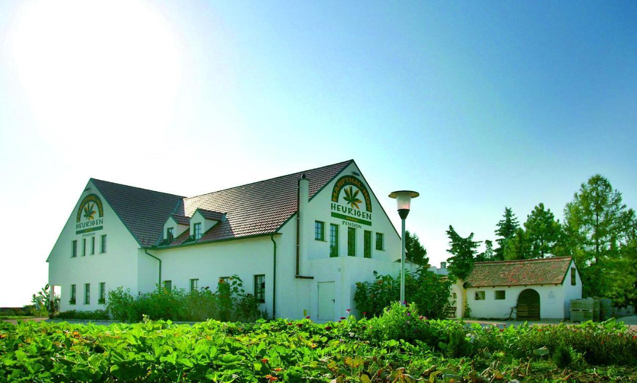 Hanfthal-Hof Laa an der Thaya Bagian luar foto